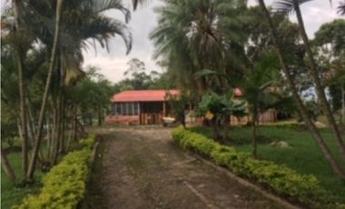 SILVANIA - FINCA DE PRODUCCION EN VENTA