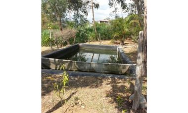 SILVANIA - FINCA DE PRODUCCION EN VENTA