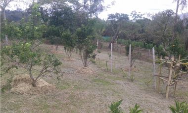 SILVANIA - FINCA DE PRODUCCION EN VENTA
