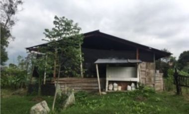 SILVANIA - FINCA DE PRODUCCION EN VENTA