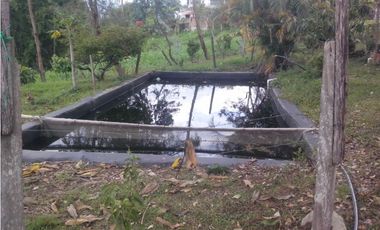 SILVANIA - FINCA DE PRODUCCION EN VENTA