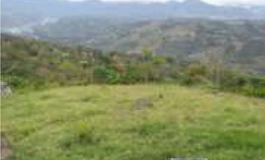 SILVANIA - FINCA DE PRODUCCION EN VENTA