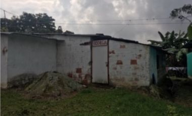 SILVANIA - FINCA DE PRODUCCION EN VENTA