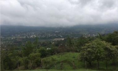 SILVANIA - FINCA DE PRODUCCION EN VENTA