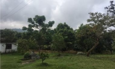 SILVANIA - FINCA DE PRODUCCION EN VENTA