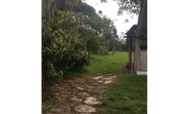 SILVANIA - FINCA DE PRODUCCION EN VENTA