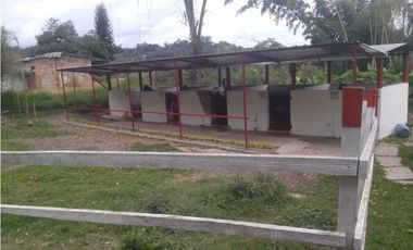 SILVANIA - FINCA DE PRODUCCION EN VENTA