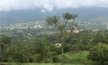SILVANIA - FINCA DE PRODUCCION EN VENTA