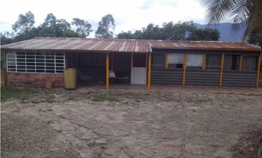 SILVANIA - FINCA DE PRODUCCION EN VENTA