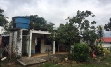 SILVANIA - FINCA DE PRODUCCION EN VENTA