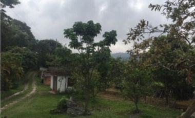SILVANIA - FINCA DE PRODUCCION EN VENTA