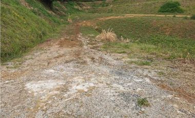 Venta de lote en el Carmen de Viboral