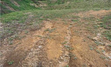 Venta de lote en el Carmen de Viboral