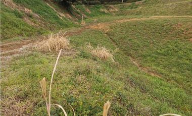 Venta de lote en el Carmen de Viboral
