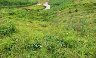 Venta de lote en el Carmen de Viboral