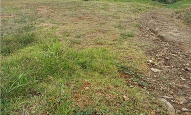 Venta de lote en el Carmen de Viboral