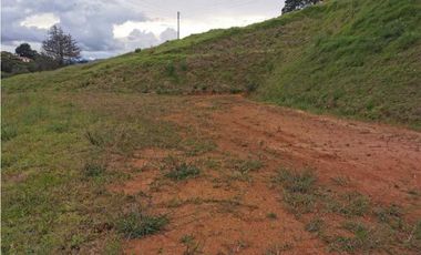 Venta de lote en el Carmen de Viboral
