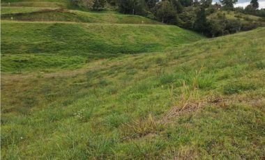 Venta de lote en el Carmen de Viboral