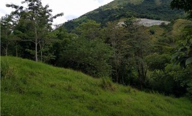 Lote en venta ubicado en La Siria, Ttiribí.