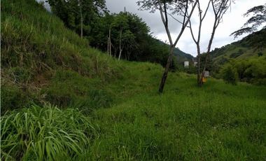 Lote en venta ubicado en La Siria, Ttiribí.