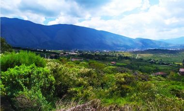 VENDO LOTES PARCELACIÓN CON VISTA A VILLA DE LEYVA - URGEME