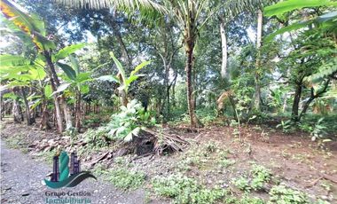 VENDO FINCA DE 10HECTAREAS + PROGRESO