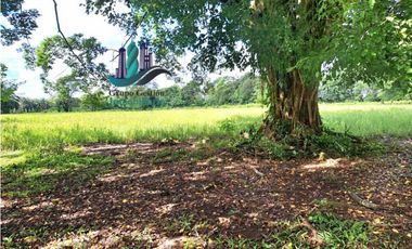 VENDO FINCA DE 10HECTAREAS + PROGRESO