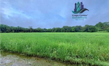 VENDO FINCA DE 10HECTAREAS + PROGRESO
