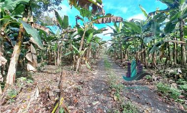 VENDO FINCA DE 10HECTAREAS + PROGRESO