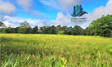 VENDO FINCA DE 10HECTAREAS + PROGRESO