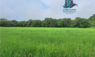 VENDO FINCA DE 10HECTAREAS + PROGRESO