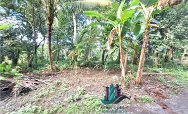 VENDO FINCA DE 10HECTAREAS + PROGRESO