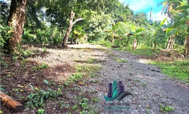 VENDO FINCA DE 10HECTAREAS + PROGRESO