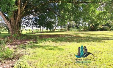 VENDO FINCA DE 10HECTAREAS + PROGRESO