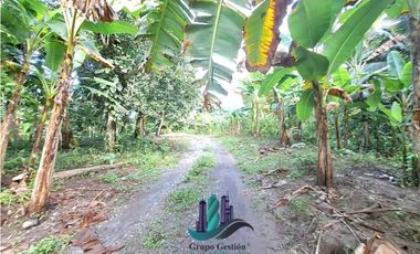 VENDO FINCA DE 10HECTAREAS + PROGRESO