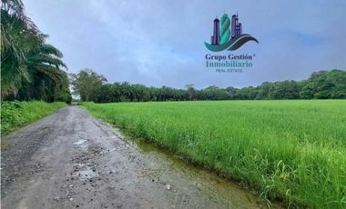 VENDO FINCA DE 10HECTAREAS + PROGRESO