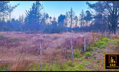 Parcela en venta en SANTA JUANA