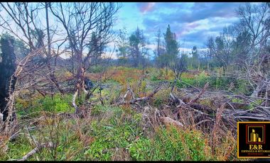 Parcela en venta en SANTA JUANA