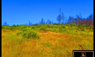 Parcela en venta en SANTA JUANA