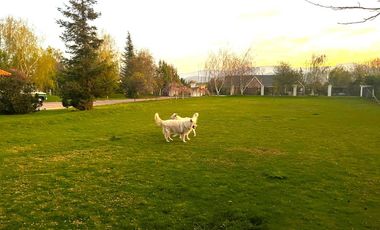Parcela en venta en ISLA DE MAIPO