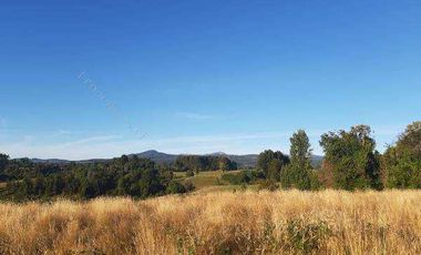 Parcela en venta en RÍO BUENO