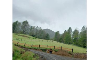 Parcela 3 Minutos Del Centro Curarrehe