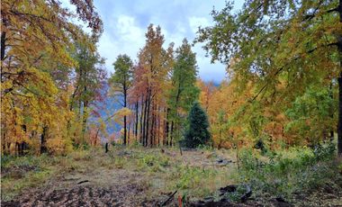 Parcela 3 Minutos Del Centro Curarrehe