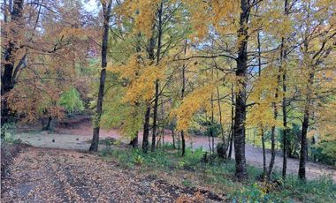 Parcela 3 Minutos Del Centro Curarrehe