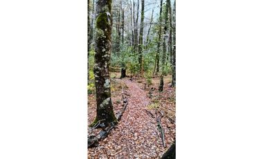 Parcela 3 Minutos Del Centro Curarrehe