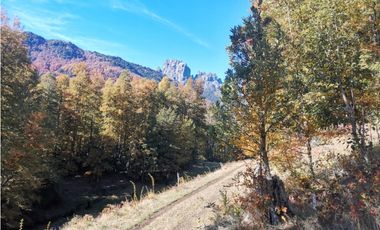Country Las Peinetas