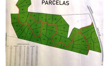 Country Las Peinetas
