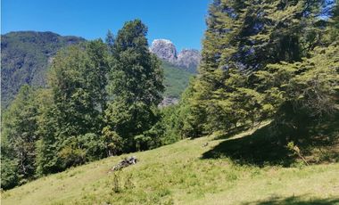 Country Las Peinetas