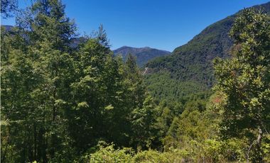 Country Las Peinetas