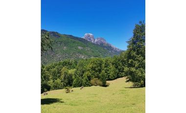 Country Las Peinetas